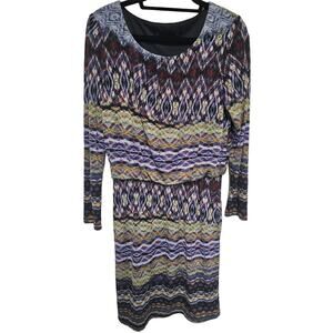 R&M RICHARDS Womens Size 14 Dress Long Sleeve Lined Knee Length Blouson  Artsy